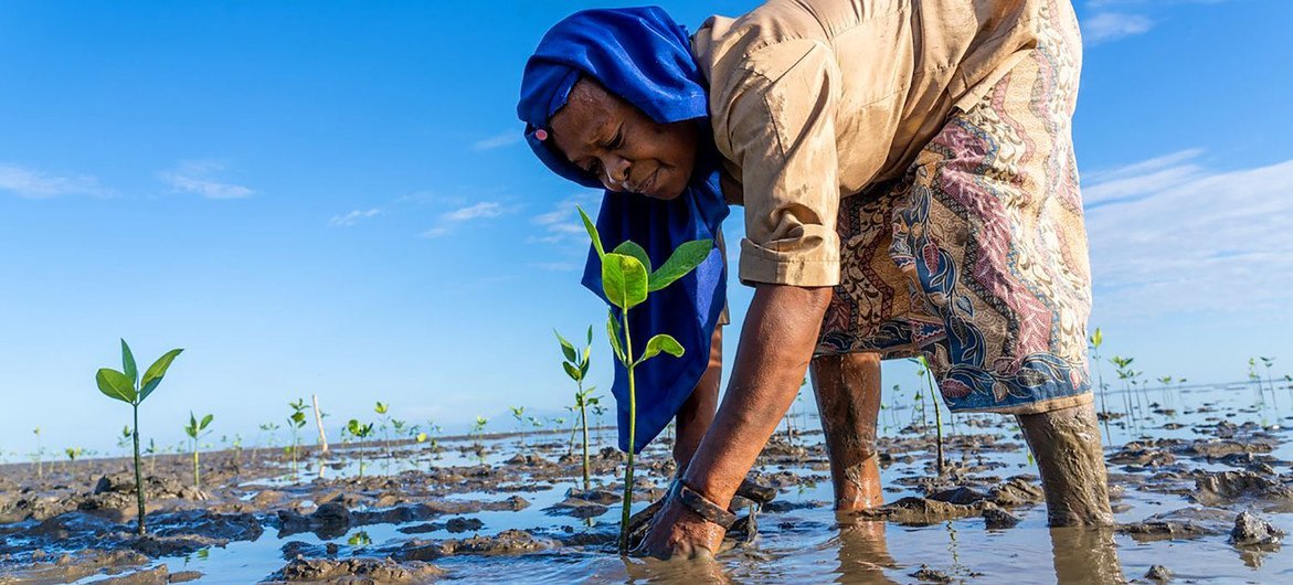 Prévenir les catastrophes et réduire les risques pour un avenir durable